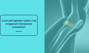 Ilustracja anatomiczna stawu kolanowego z widoczną łąkotką.
