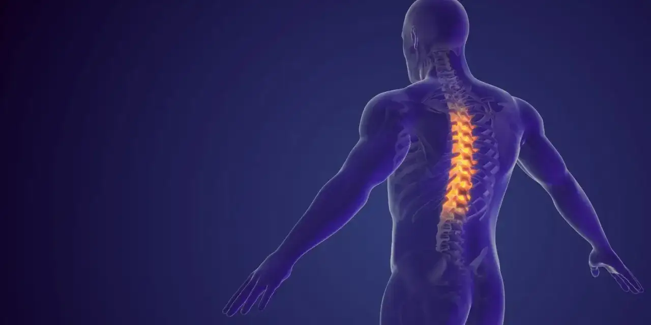 Anatomical illustration of a human spine with highlighted areas indicating dyskopatia wielopoziomowa.
