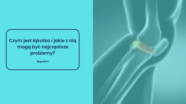 Ilustracja anatomiczna stawu kolanowego z widoczną łąkotką.